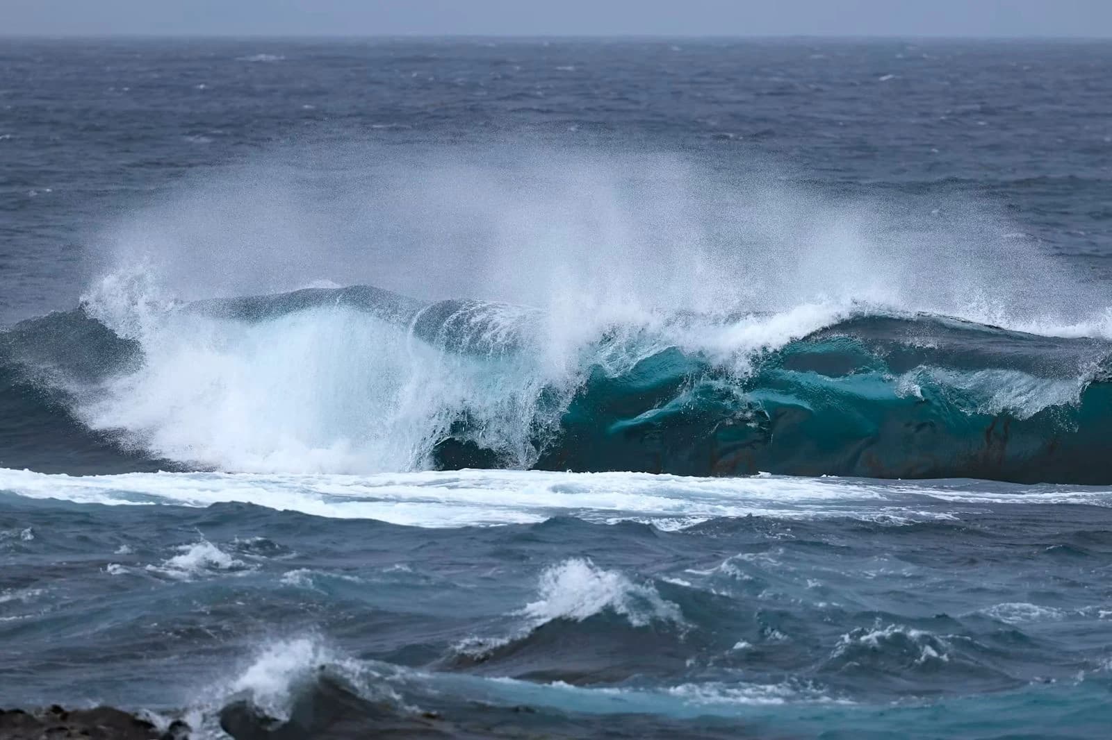 Onde oceaniche in condizioni di vento