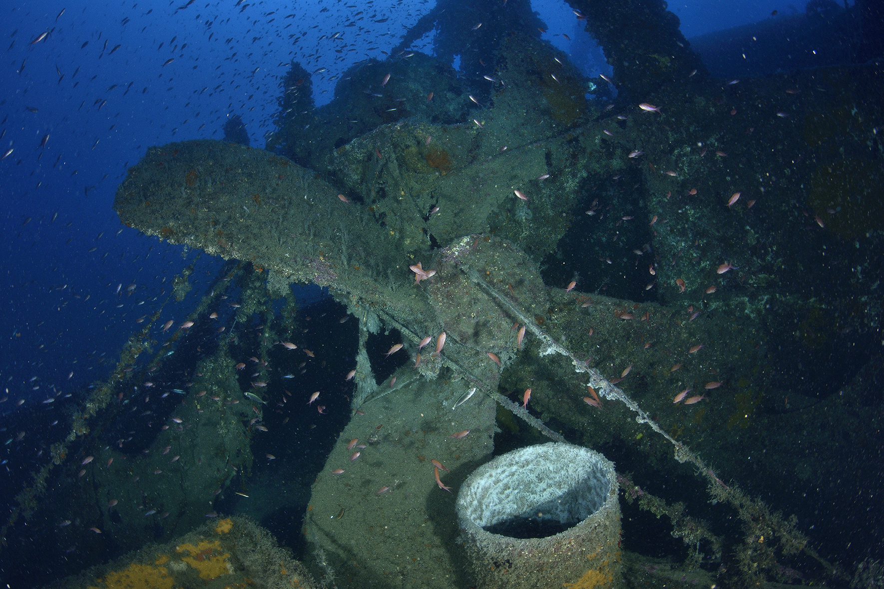 Alessandro Pagano, The propeller of Arturo Volpe wreck